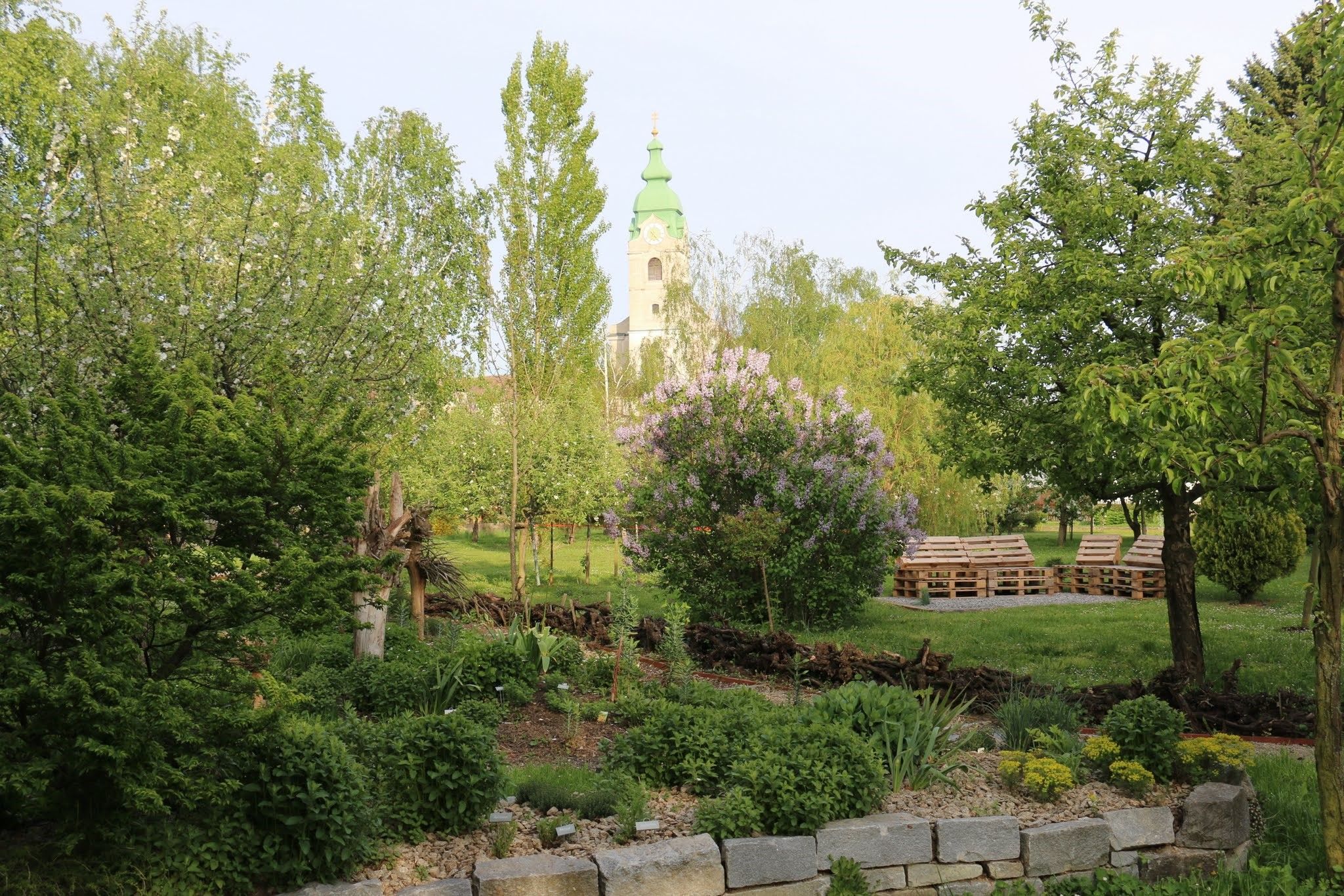 A green garden with trees, shrubs and a church tower in the background.