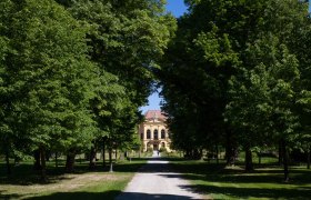 Eckartsau Castle Park, © ÖBF, Panzer