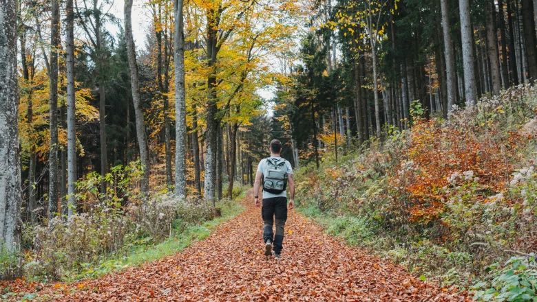 A person walks through a forest with leaves on the ground in the fall.