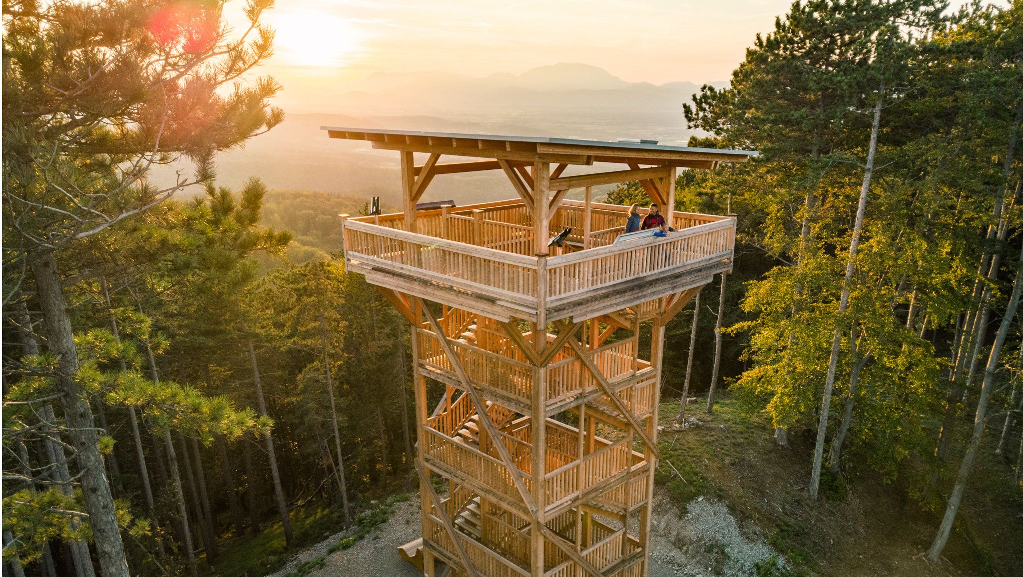 Wooden lookout tower in the forest at sunset.