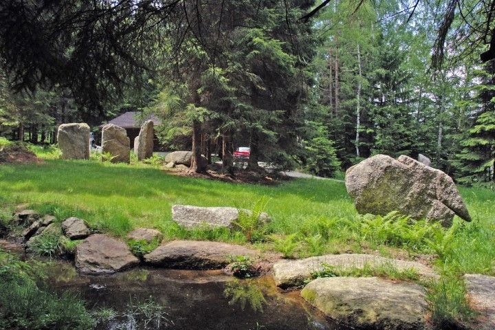 Garden with pond