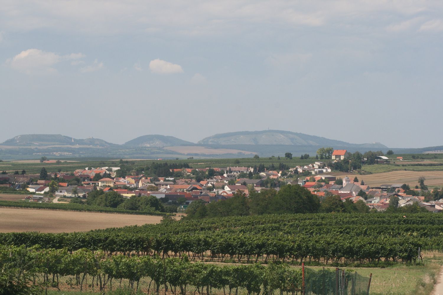 Landscape with village, vineyards and hills in the background.