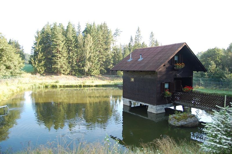 A small wooden house stands on stilts in a pond, surrounded by trees and nature.
