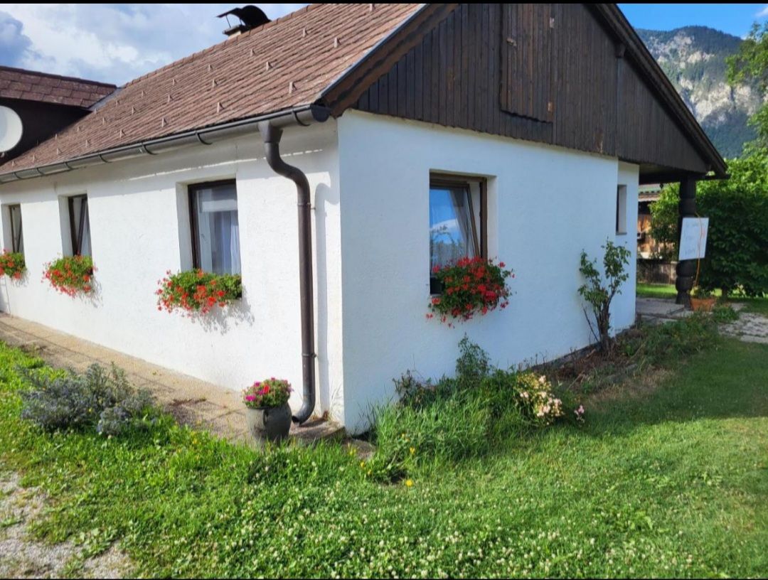 White house with red flowers in flower boxes in front of the windows, green meadow in the foreground.