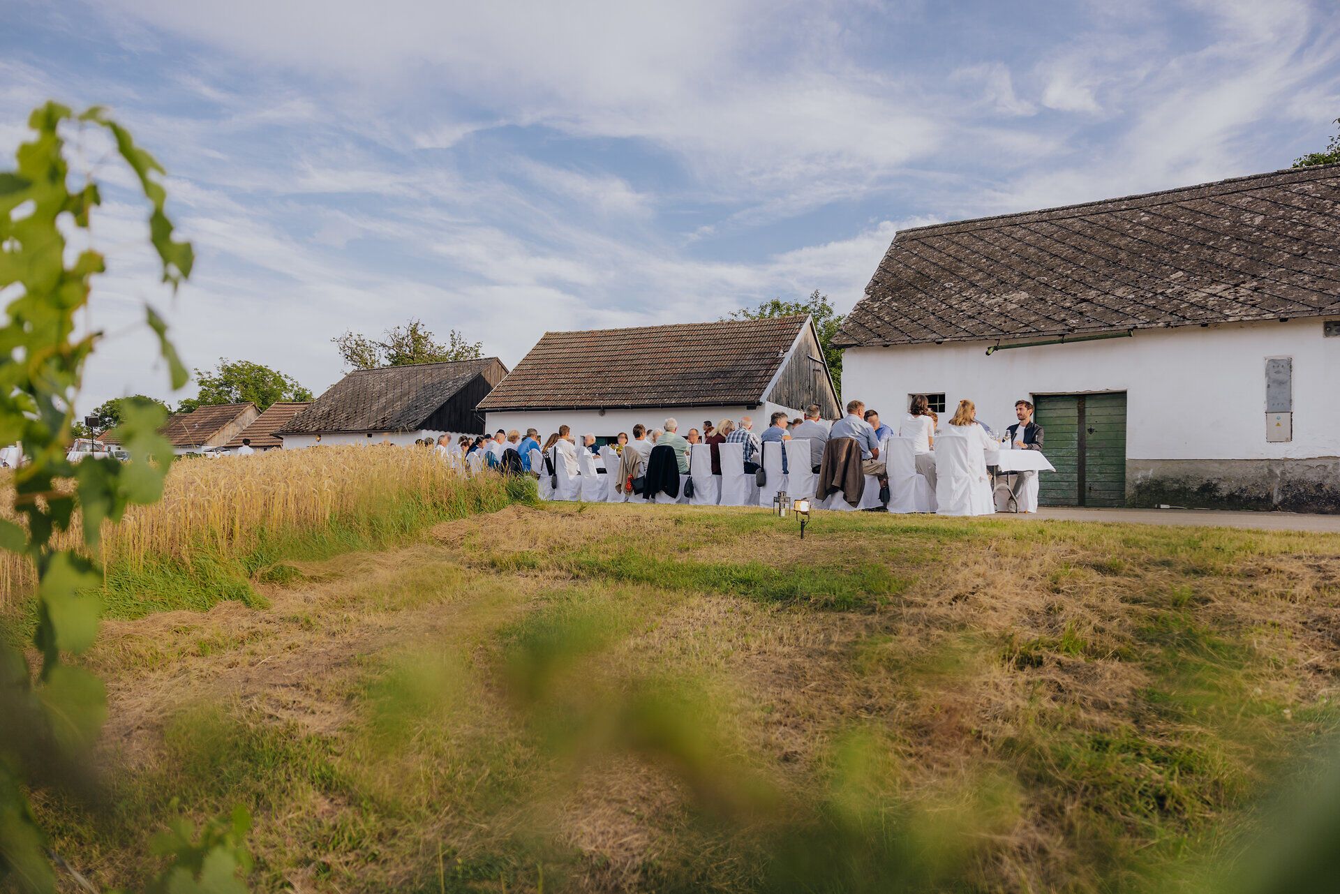 Inmitten der sanften Hügel des Weinviertels versammeln sich Menschen in festlicher Stimmung, um die Köstlichkeiten der Region zu genießen. Die Tische sind liebevoll gedeckt, umgeben von goldenen Ähren, die im sanften Wind wiegen. Hier wird Kulinarik zu einem unvergesslichen Erlebnis, das die Sinne verzaubert.
