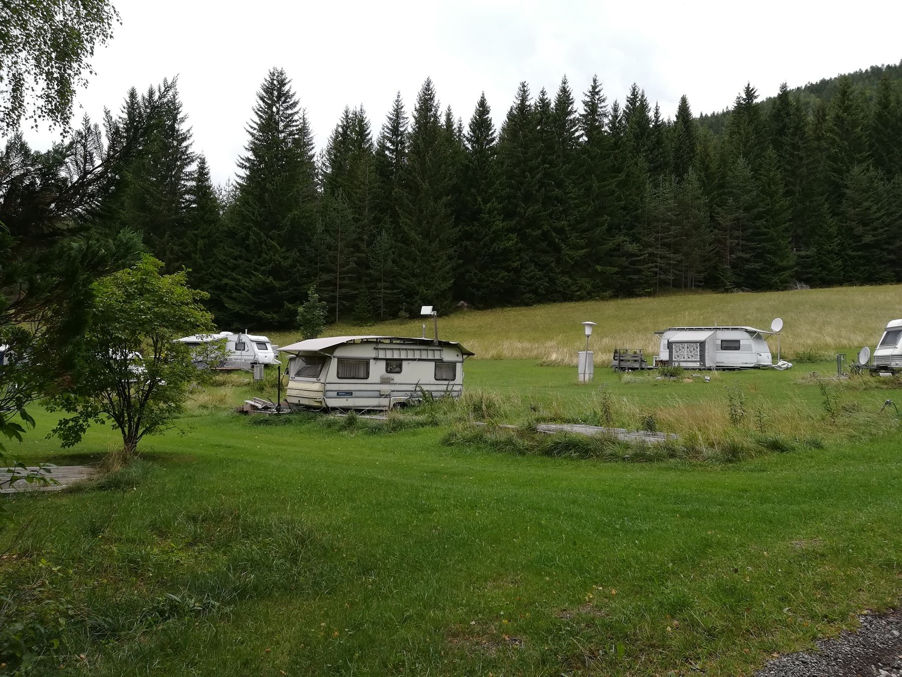Campsite with caravan on a meadow in front of a forest.