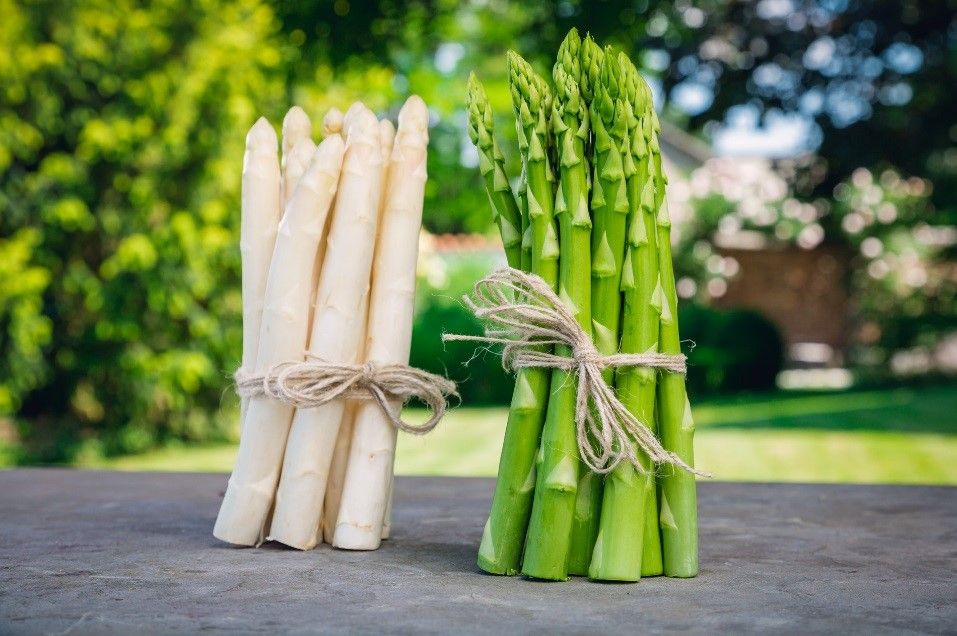 Bundles of white and green asparagus on an outdoor table.