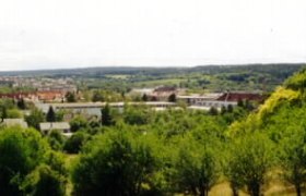 Panoramic view of a green landscape with trees and buildings in the background.