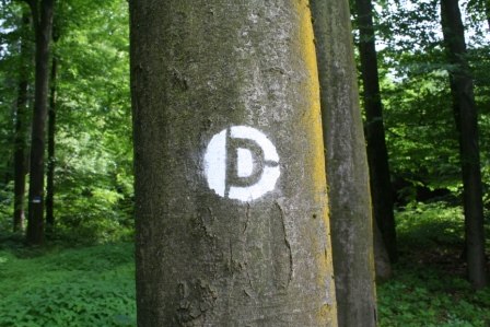 Spray marking Dunkelsteinerwald-Runde, © ARGE Dunkelsteinerwald