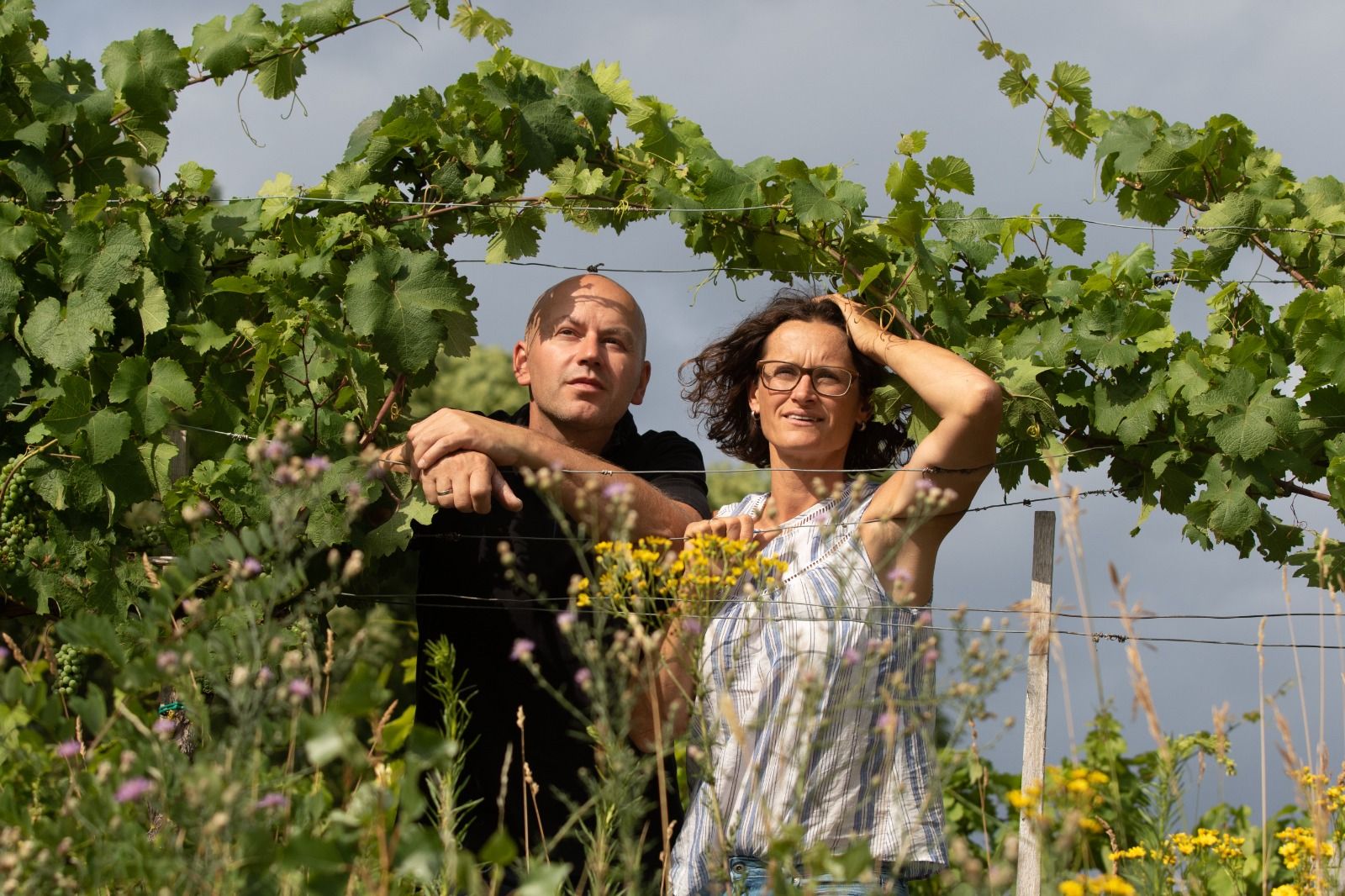 Couple in the vineyard