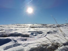 Winterwanderung auf den Arabichl, &copy; Wiener Alpen in Nieder&ouml;sterreich