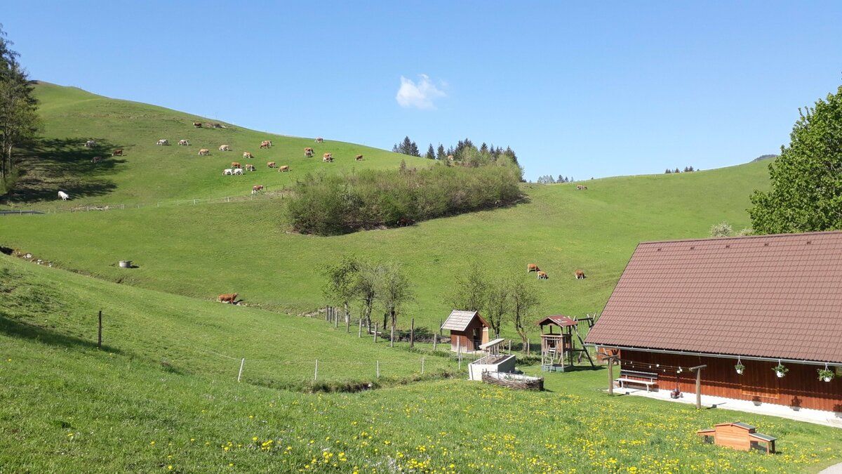 Vacation on the farm-Oberrehau