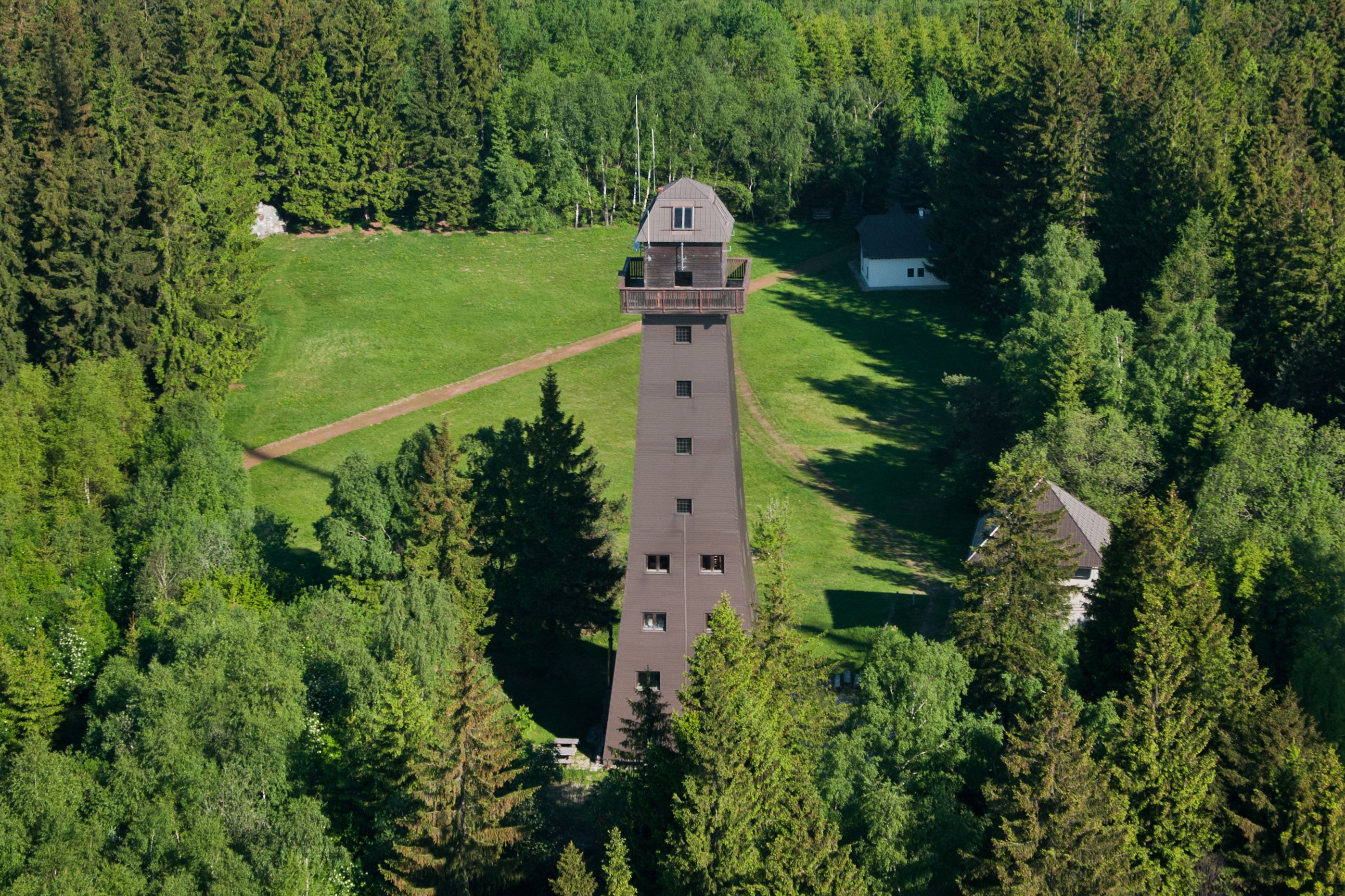 Viewpoint on the Jauerling surrounded by forest.