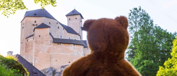 Teddy bear looks to the Rappottenstein castle, © Martin Lugmayr/www.art.waldsoft.at