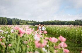 Two people walk through a field of blooming pink poppies, surrounded by a forest in the background.