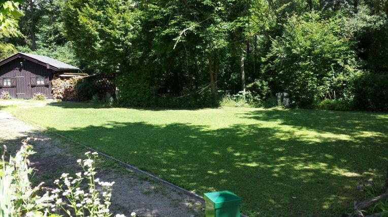 Green meadow with trees and a wooden hut in the background.