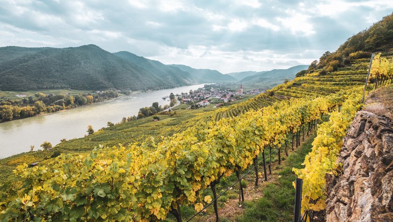 View of Wei&szlig;enkirchen in the Wachau with vineyards and the Danube in the background.