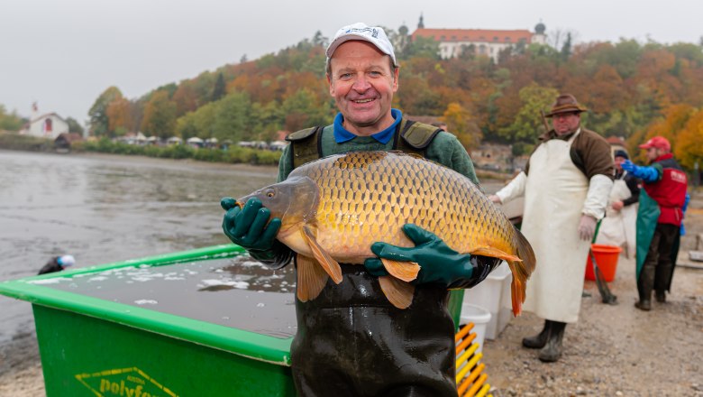 A man holds a large carp in front of a pond. Other people and a building on a hill can be seen in the background.