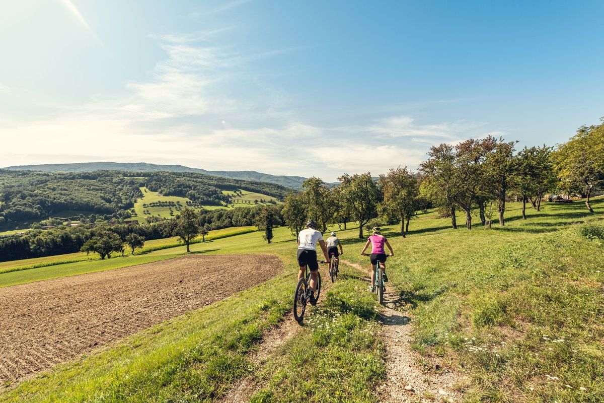 MTB Vienna Woods