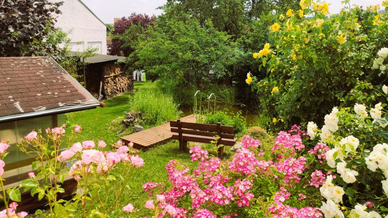 A garden with colorful roses, a small pond and trees in the background.