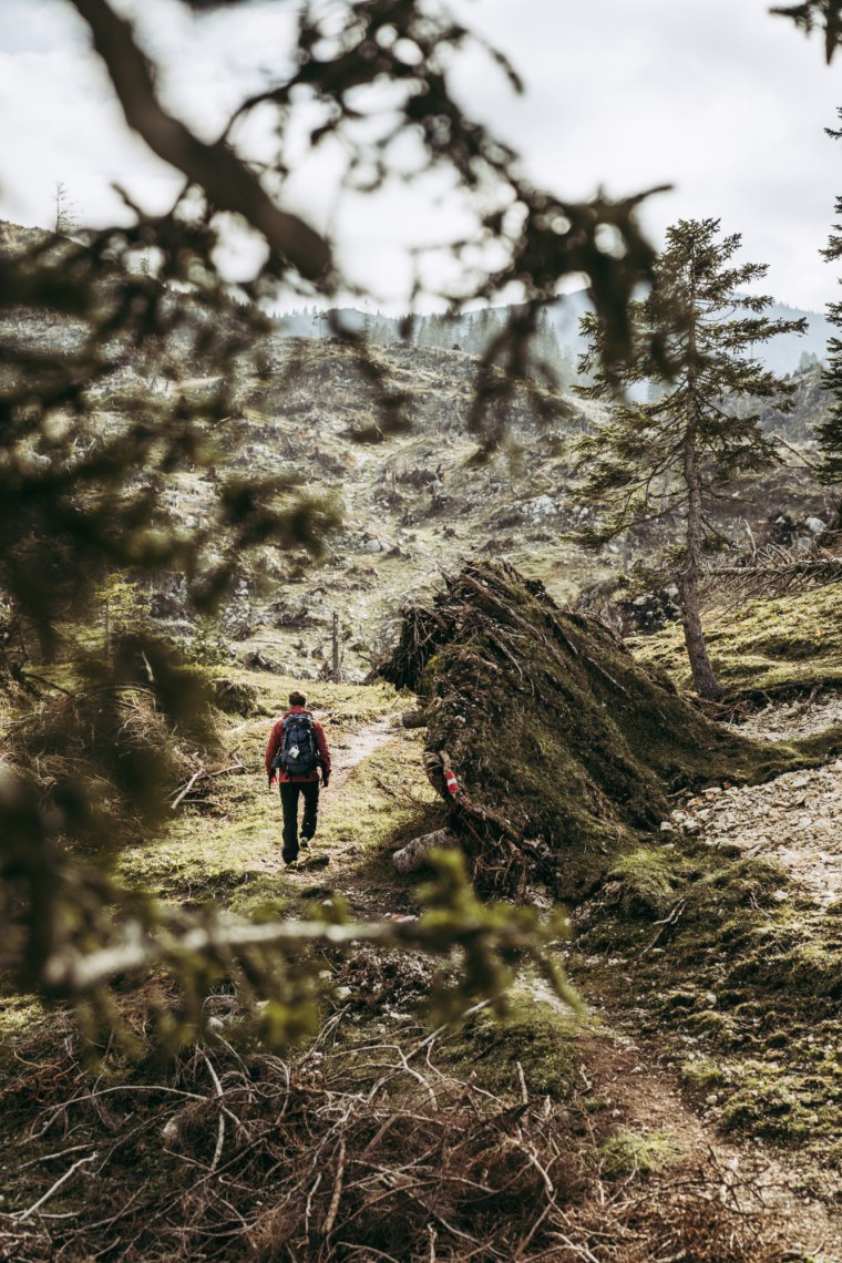 On the way on lonely single trails., © Niederösterreich Werbung/Max Mauthner