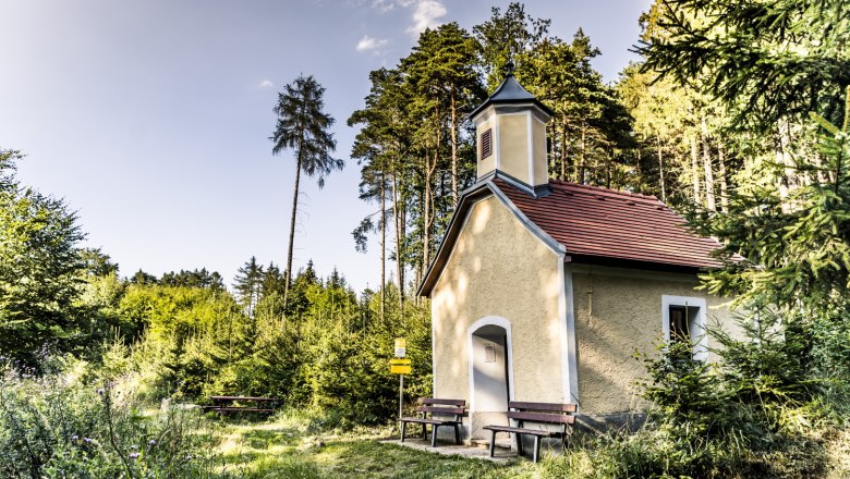Small chapel in the forest with benches in front of it, surrounded by trees and meadow.