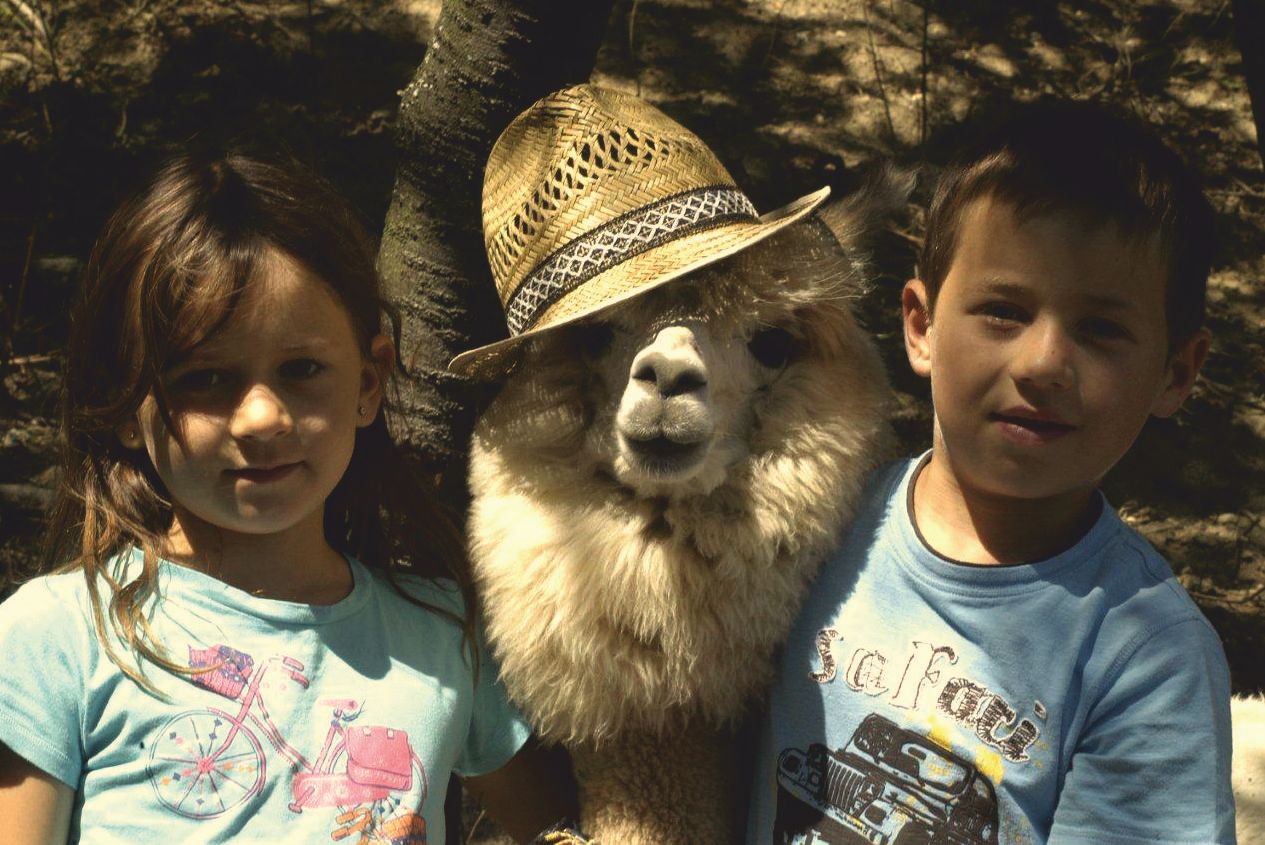Two children pose with a baby alpaca wearing a straw hat.