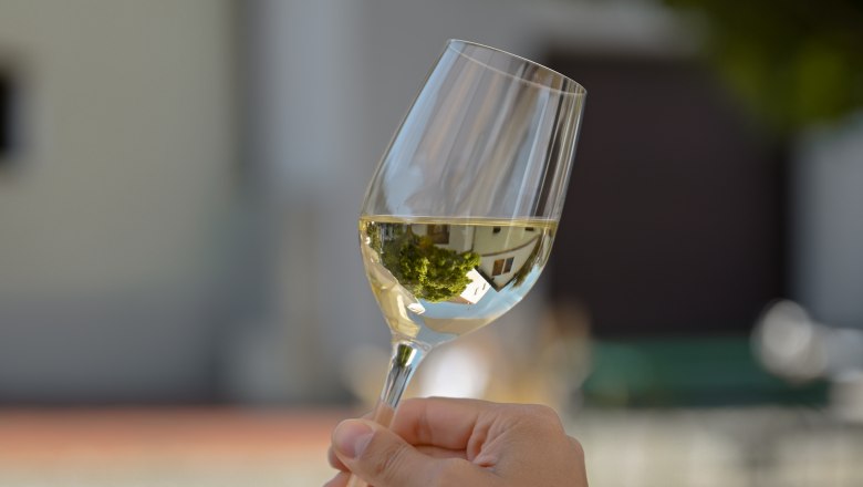 A hand holds a wine glass with white wine in front of a blurred background outside.