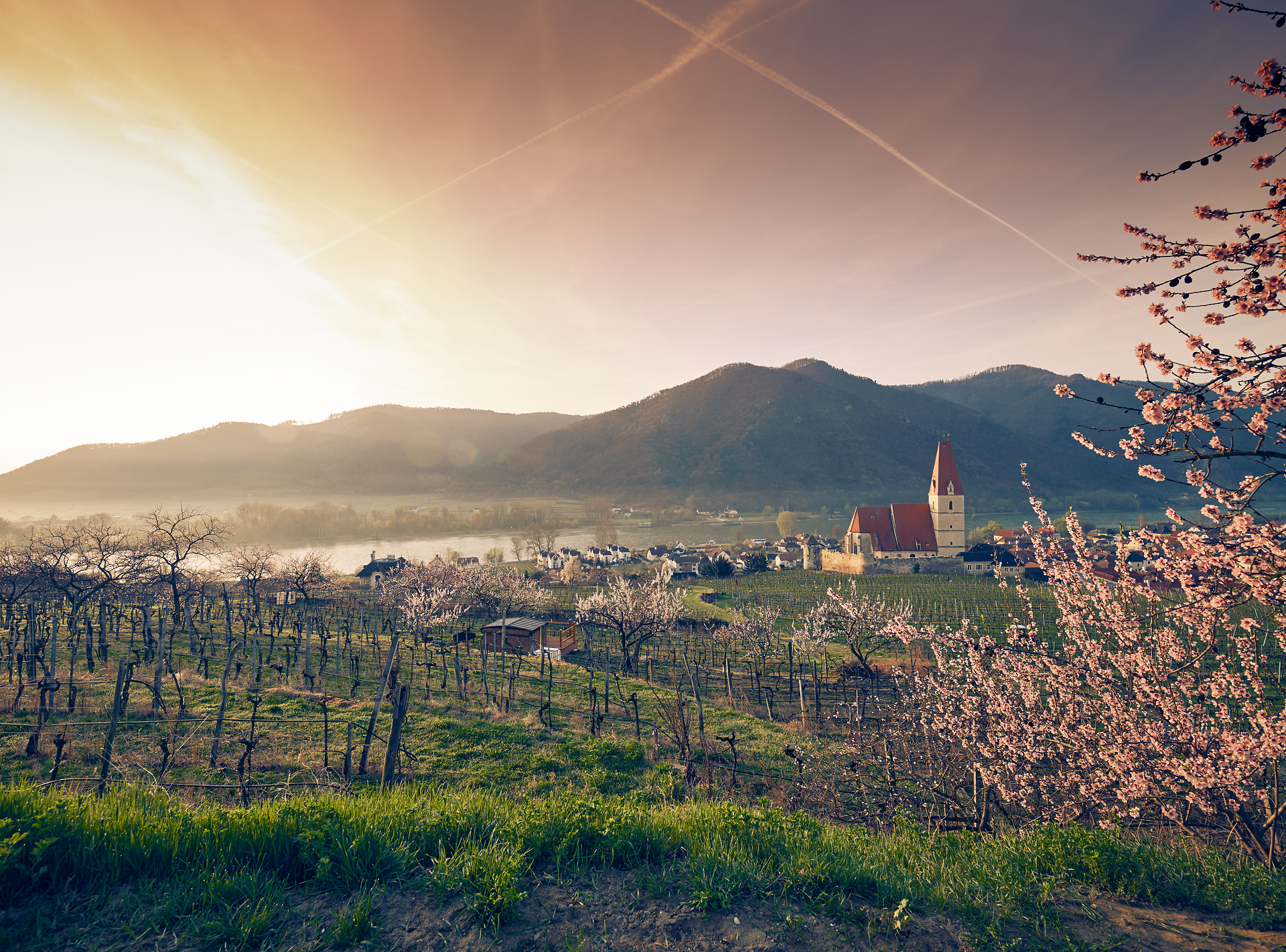 Im Frühling erblühen die Obstbäume in voller Pracht und verleihen der Landschaft eine zauberhafte Atmosphäre. Die sanften Hügel und die majestätische Kirche im Hintergrund laden zu einem entspannten Spaziergang entlang der Donau ein.