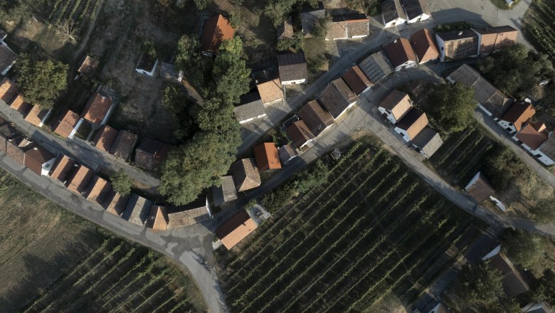 Aerial view of a wine cellar lane with vineyards and small houses.