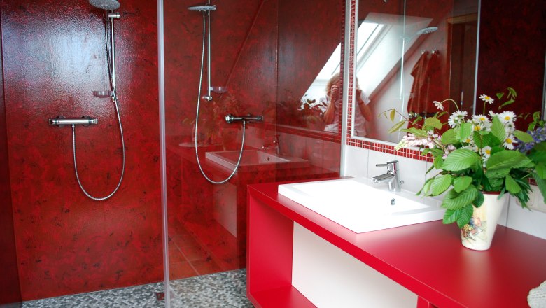 Modern bathroom with red walls, two showers and a washbasin with floral arrangement.