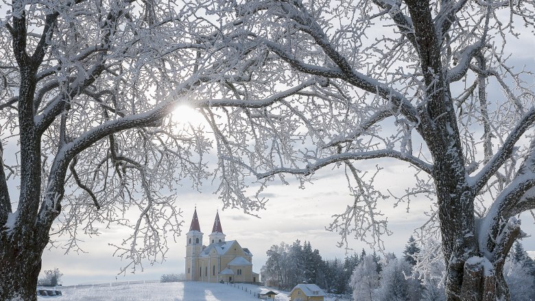 Winter landscape with Maria Schnee pilgrimage church in the background, framed by snow-covered trees.