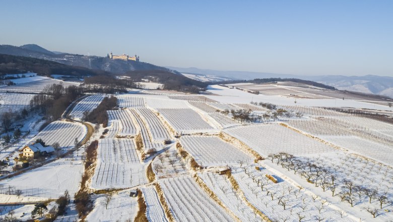 Winter in the natural garden vacation in Steffi's vacation apartments, &copy; Stefanie Kratzer