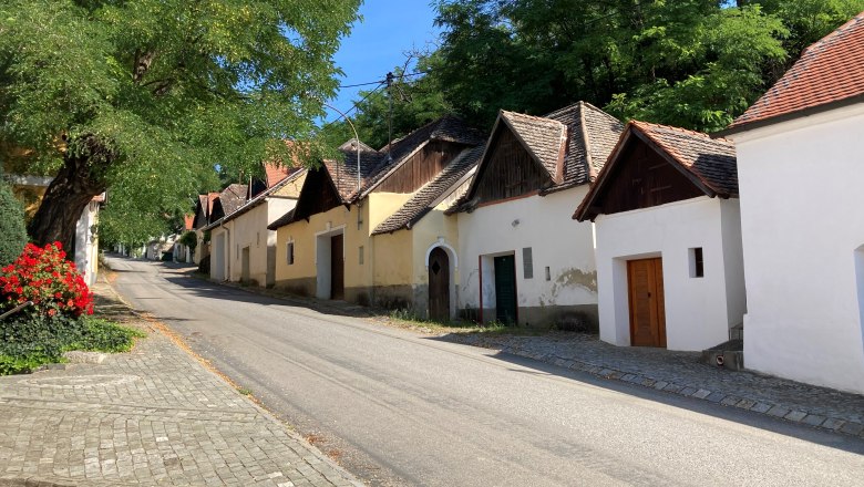 Street with old houses and trees in a village.