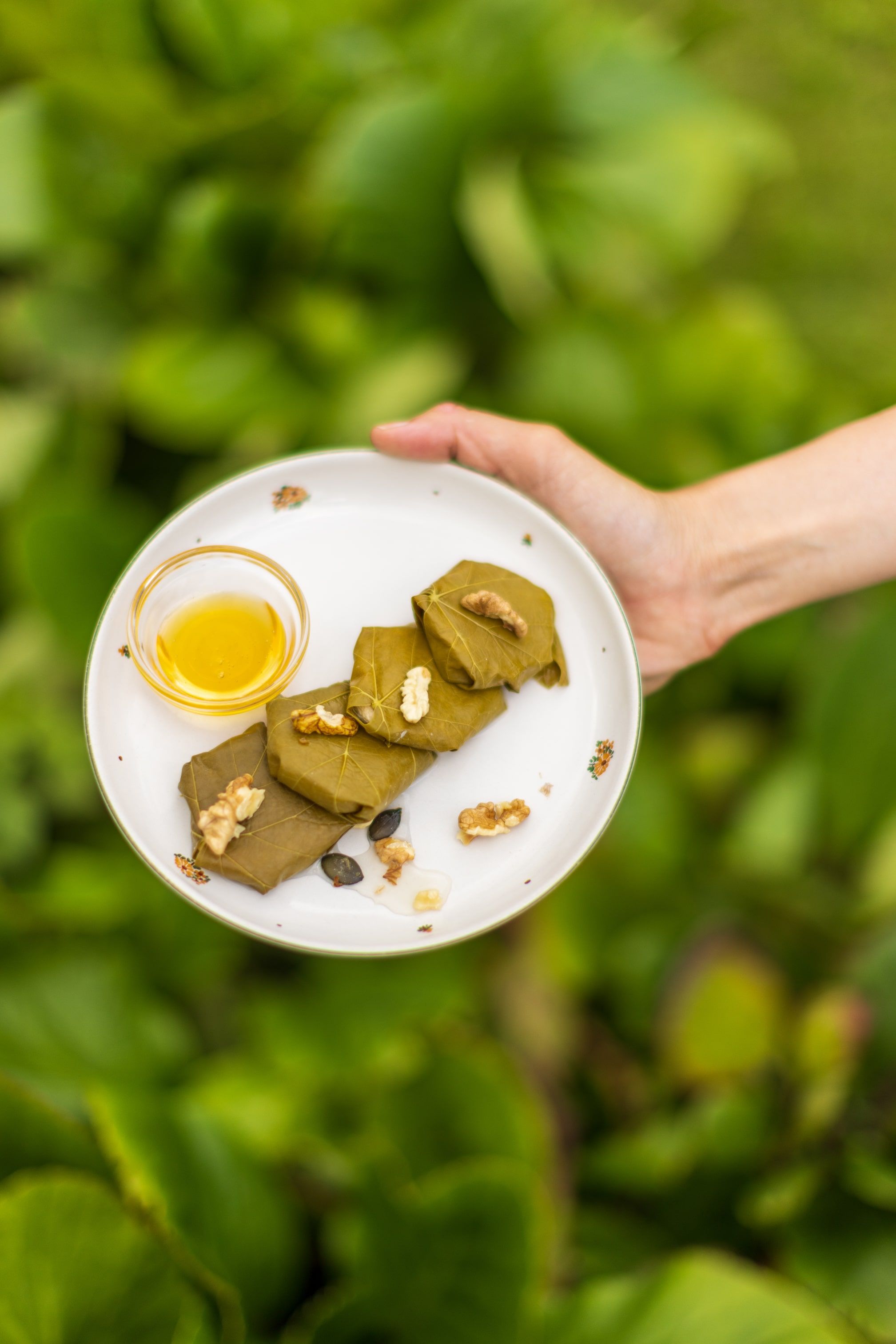 A plate of cheese wrapped in vine leaves, garnished with walnuts and a small bowl of honey, is held in one hand.