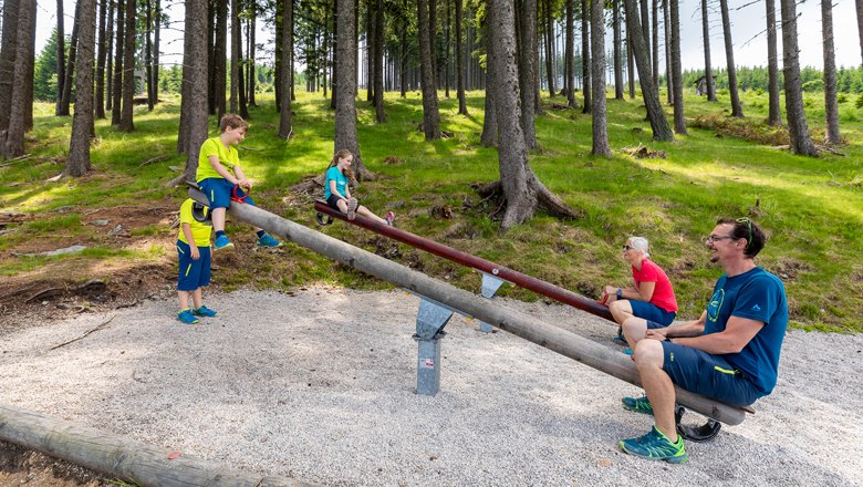 Family playing on seesaws in the forest.