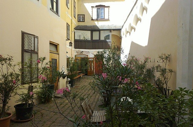 A sunny inner courtyard with plants and seating.