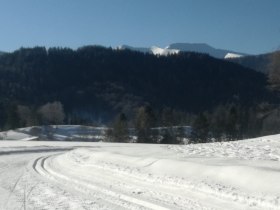 Panoramaloipe, &copy; Nordisches Zentrum St. Aegyd