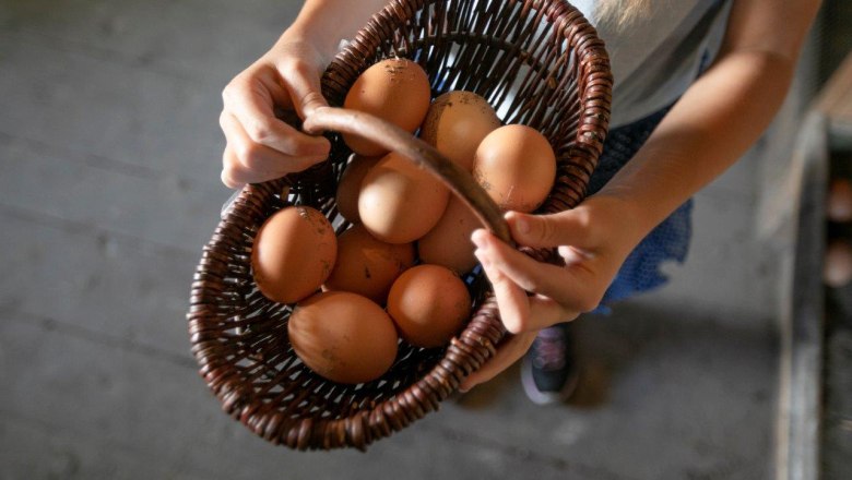 Vacation at the Zwergerlhof, © schwarz-koenig.at