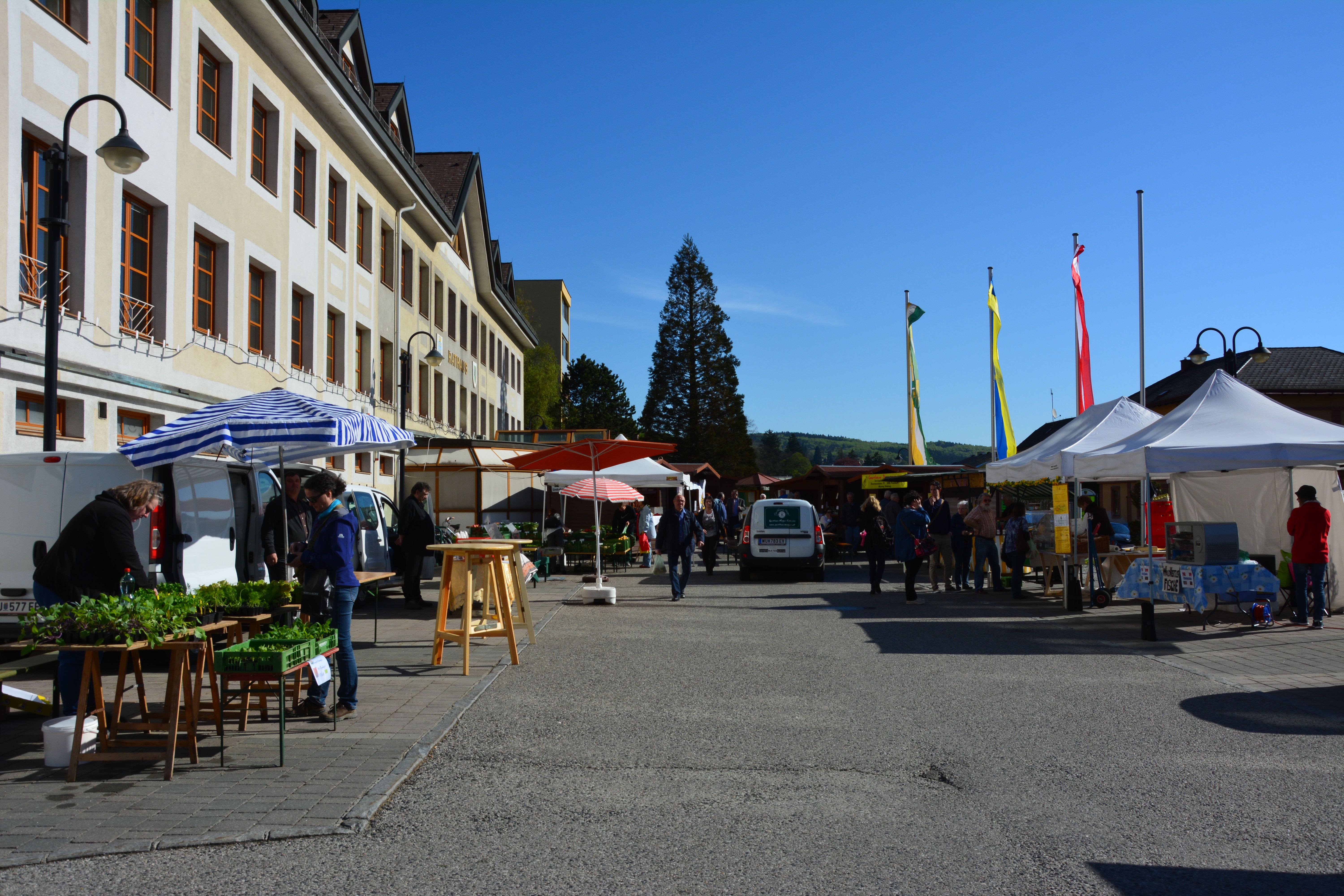An organic farmers' market in a square with stalls, people and a large building in the background.