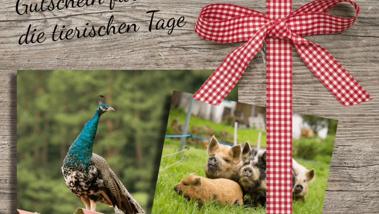 Voucher for the animal days, © Edermühle