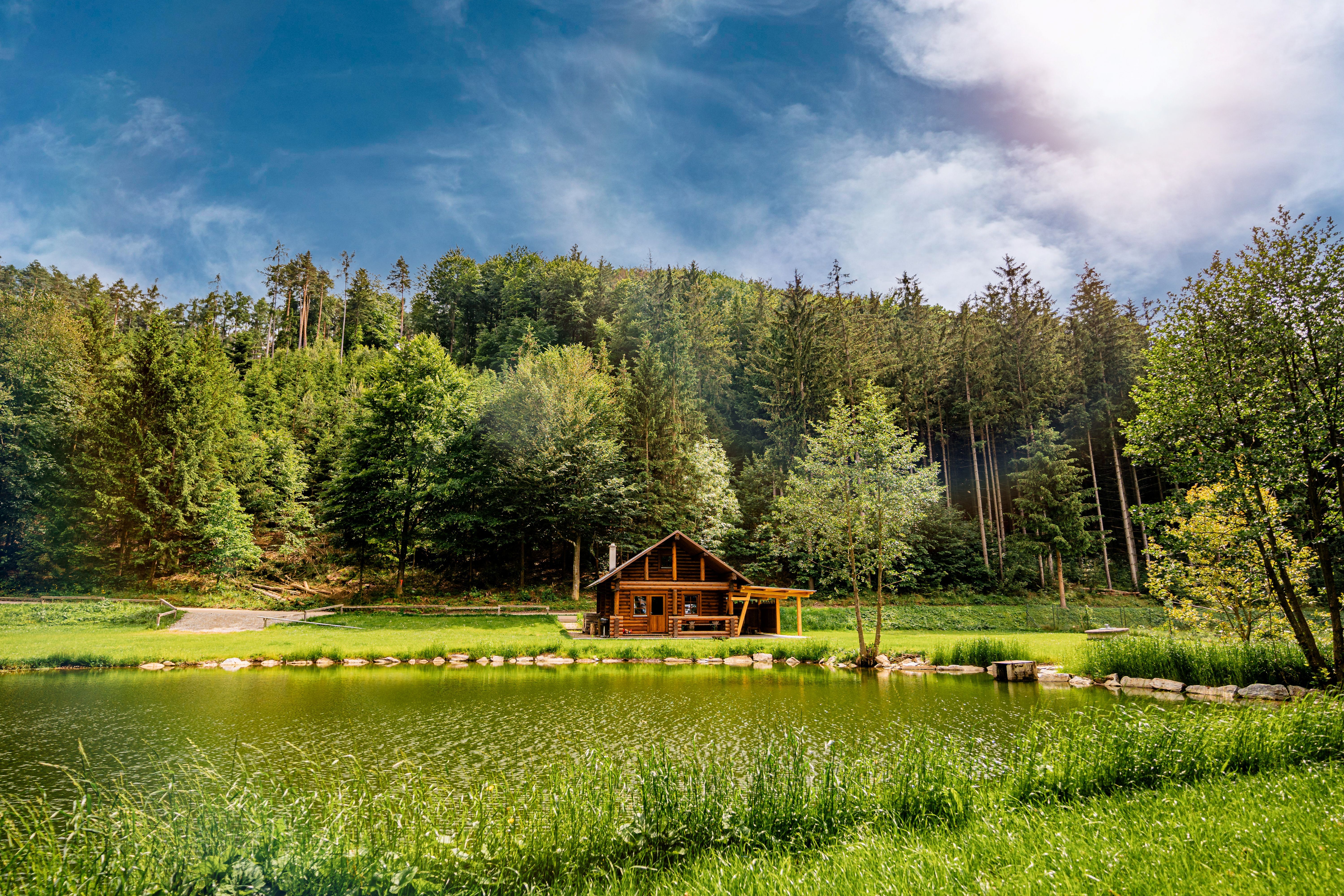 A log cabin at the edge of the forest with a small lake in the foreground.