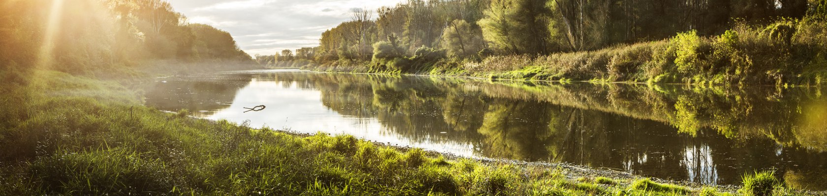 Danube Wetlands National Park, © Michael Liebert