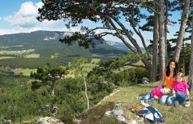Burgruine Schrattenbach, &copy; Wiener Alpen in Nieder&ouml;sterreich - Schneeberg Hohe Wand