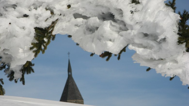 Snow-covered tree with church tower in the background.