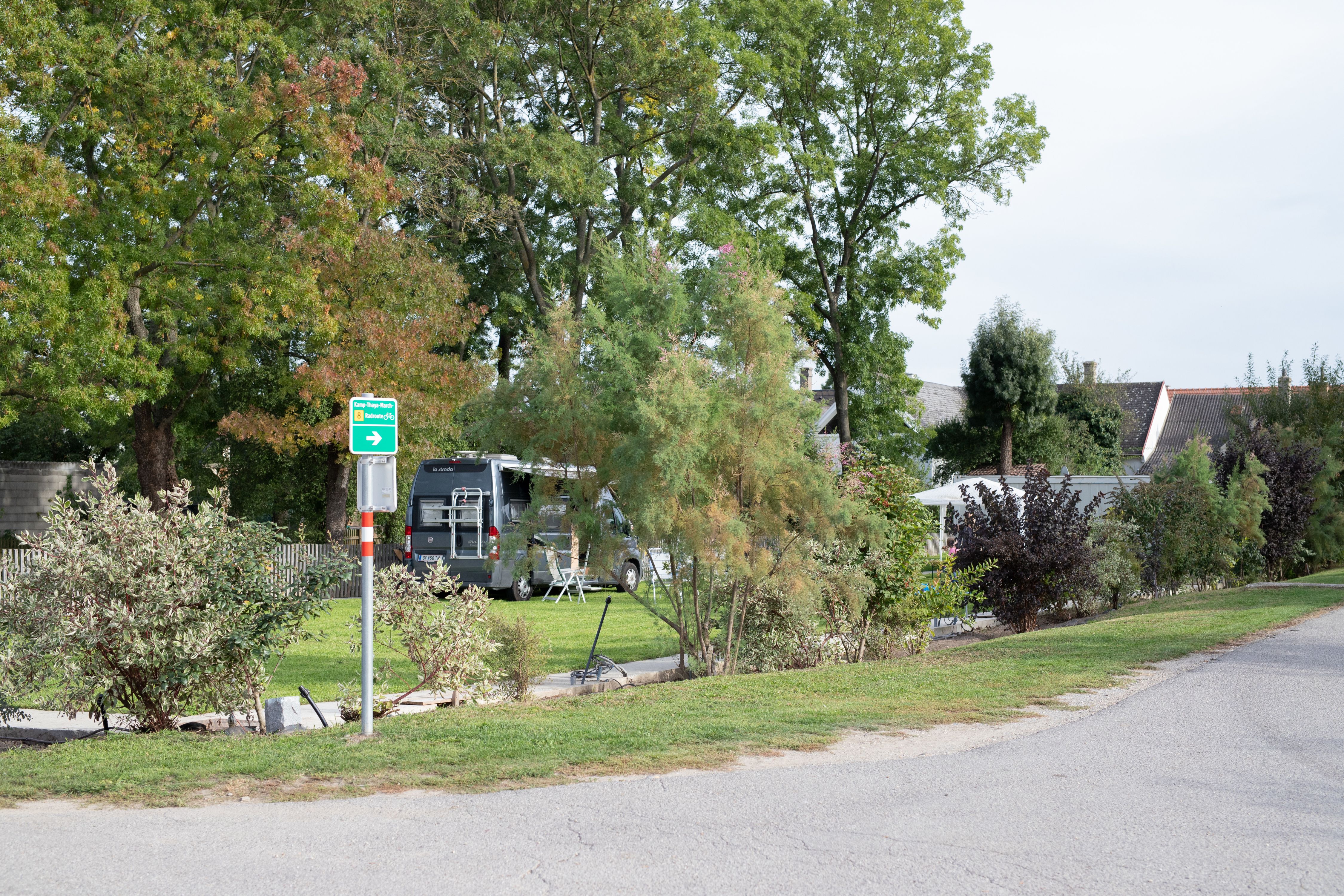 Campsite with motorhome and trees in the background.