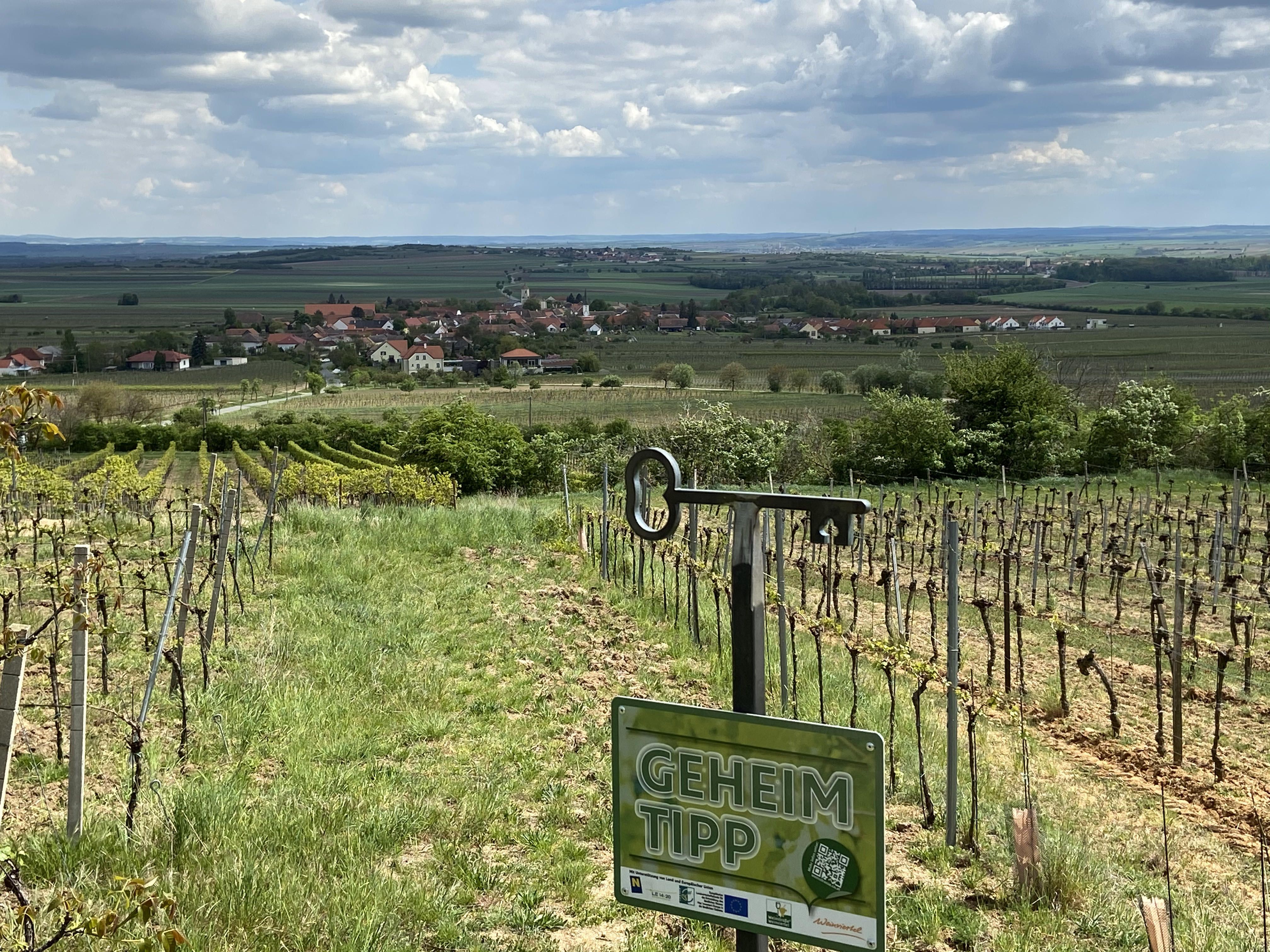 Vineyard with a view of a village in the Weinviertel, sign with the inscription 'Insider tip'.