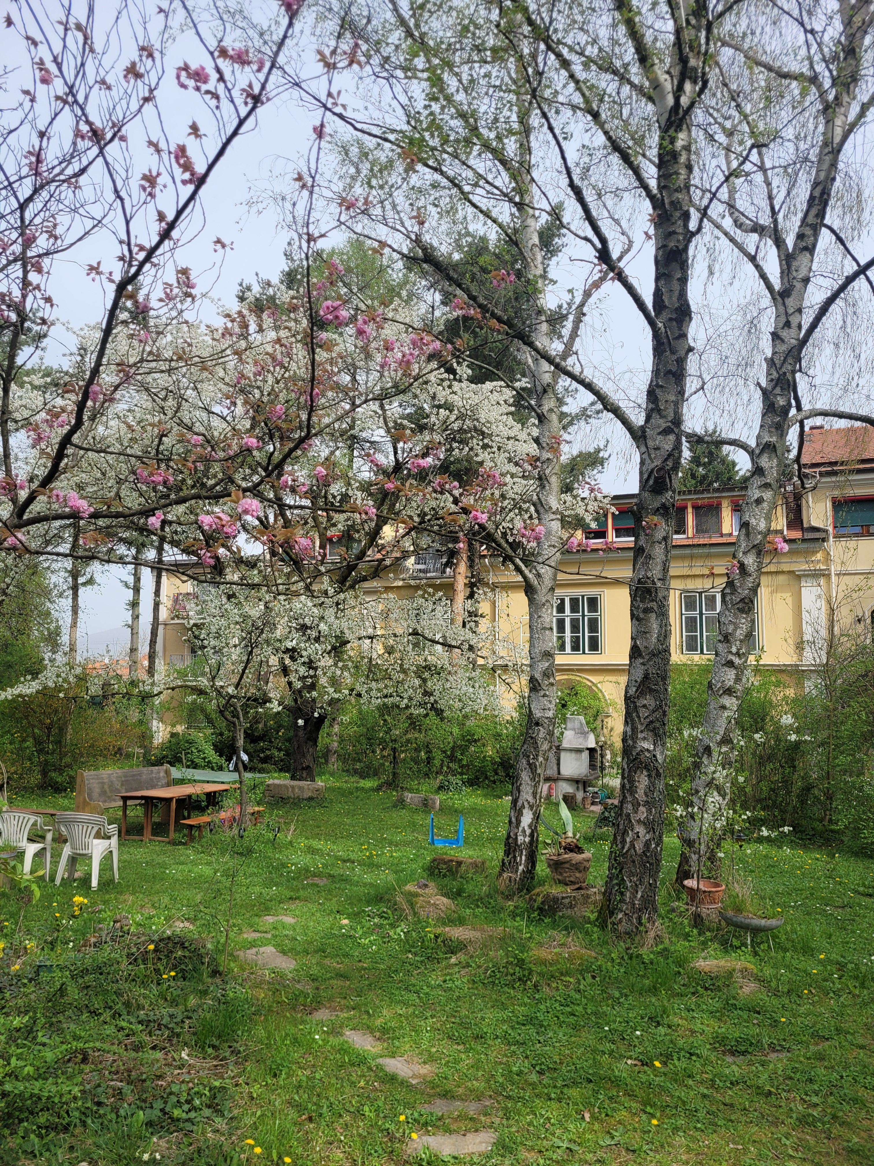 Villa Pannonica Wolfsthal, garden with trees