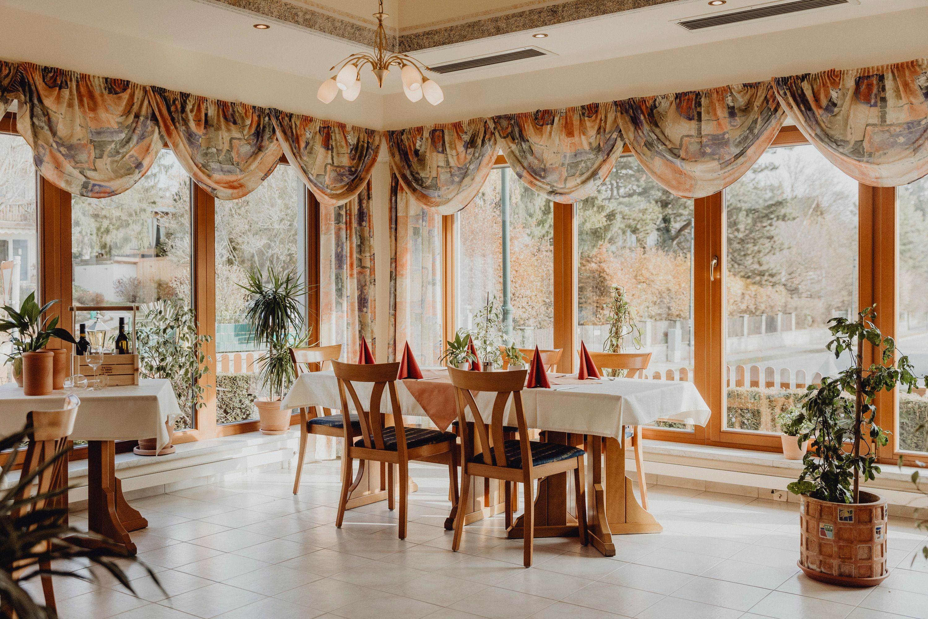 A bright restaurant with large windows, wooden furniture and plants.