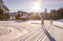 Die glitzernde Schneedecke erstreckt sich unter einem strahlend blauen Himmel, während zwei Langläufer in harmonischem Rhythmus durch die winterliche Landschaft gleiten. Die frische, klare Luft und die majestätischen Tannen schaffen eine friedliche Atmosphäre, die zum Verweilen einlädt.